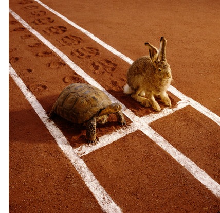 TORTOISE AND HARE ON TRACK