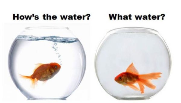 Unlock Mind And Body Tensions